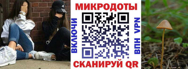 Псилоцибиновые грибы Psilocybine cubensis Сочи