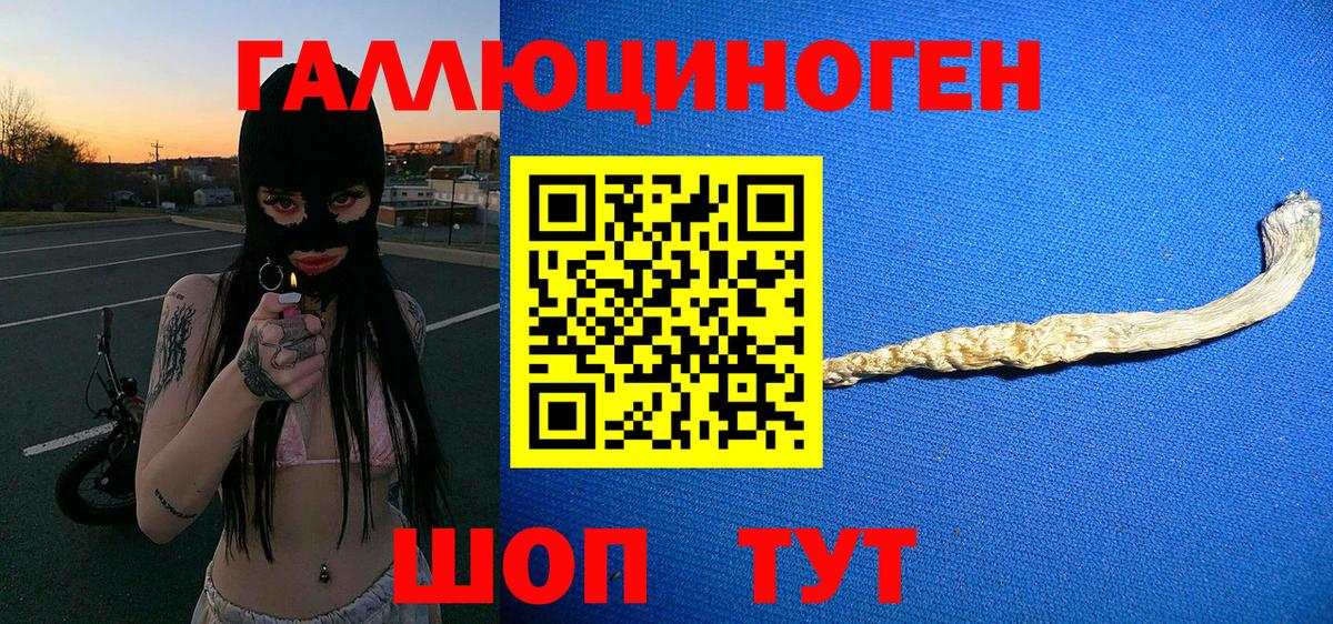 где купить наркоту  Псилоцибиновые грибы Cubensis  Вход с VPN  Галлюциногенные грибы мицелий  Сочи 
